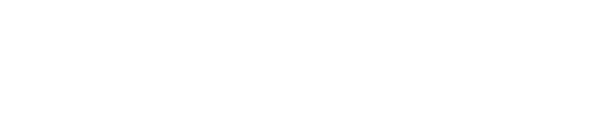 fatma nevin vargun logo white